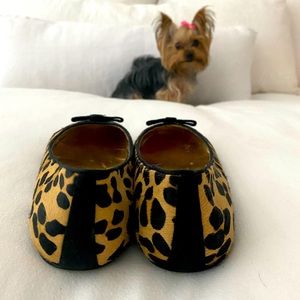 Beverly Feldman adorable flats